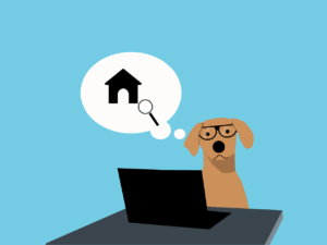 Read more about the article Najciekawsze słowa w&nbsp;języku angielskim